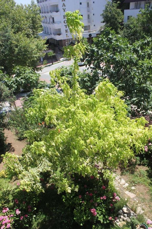 Thermal Orkide Pansiyon Yalova  Esterno foto
